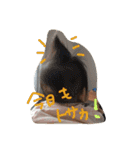 makiyou2（個別スタンプ：3）