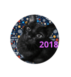 Lovelyblackcat（個別スタンプ：1）