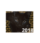 Lovelyblackcat（個別スタンプ：3）