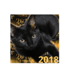 Lovelyblackcat（個別スタンプ：4）