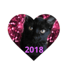Lovelyblackcat（個別スタンプ：6）