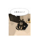 vivi だらけ（個別スタンプ：3）