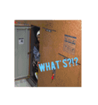 DMCN（個別スタンプ：12）