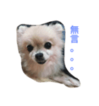Lu little sister's life（個別スタンプ：7）