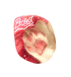 Fantastic cat Yuki（個別スタンプ：1）