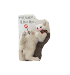 Fantastic cat Yuki（個別スタンプ：2）