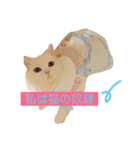 Fantastic cat Yuki（個別スタンプ：12）