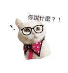 Fantastic cat Yuki（個別スタンプ：14）