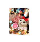 Fantastic cat Yuki（個別スタンプ：17）
