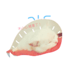 Fantastic cat Yuki（個別スタンプ：23）