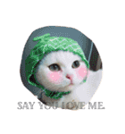 Fantastic cat Yuki（個別スタンプ：27）