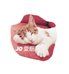 Fantastic cat Yuki（個別スタンプ：28）