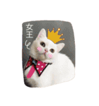 Fantastic cat Yuki（個別スタンプ：32）