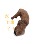 Cola Gog（個別スタンプ：2）