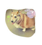 私の名前はそらです（個別スタンプ：6）
