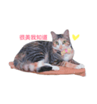 kitty flower（個別スタンプ：4）