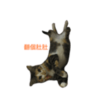 kitty flower（個別スタンプ：5）