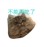qiuqiu（個別スタンプ：4）