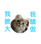qiuqiu（個別スタンプ：13）