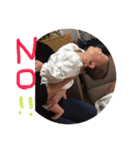 桃向1（個別スタンプ：17）
