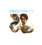 Yたんズ（個別スタンプ：1）