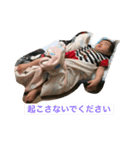 Yたんズ（個別スタンプ：4）