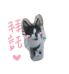 Kitten Mochi（個別スタンプ：1）