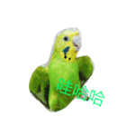 birds love X7（個別スタンプ：2）