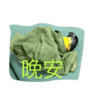 birds love X7（個別スタンプ：5）