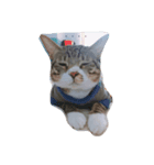 ha ha ~fat cat（個別スタンプ：7）