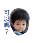 little boy is talking（個別スタンプ：14）