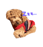 カイくんスタンプ（個別スタンプ：1）