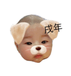りいくん٩( ᐛ )و（個別スタンプ：1）