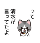 清水さんと清水さんの友達専用（個別スタンプ：40）