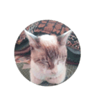 猫好きさんへ（個別スタンプ：4）
