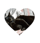 猫好きさんへ（個別スタンプ：5）