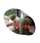 じろ＆はな（個別スタンプ：3）