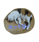 じろ＆はな（個別スタンプ：10）
