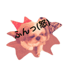 じろ＆はな（個別スタンプ：11）