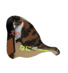じろ＆はな（個別スタンプ：13）