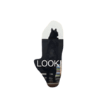 Black. Cat.（個別スタンプ：2）
