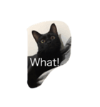 Black. Cat.（個別スタンプ：4）