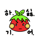 TOMATO SIBLINGS' DAILY LIFE（個別スタンプ：10）