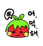 TOMATO SIBLINGS' DAILY LIFE（個別スタンプ：23）