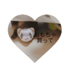 いたちの日常（個別スタンプ：1）