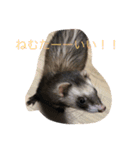 いたちの日常（個別スタンプ：10）