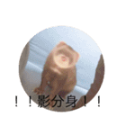 いたちの日常（個別スタンプ：14）