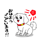 しろくろぺっと（個別スタンプ：1）