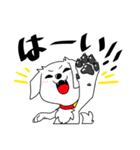 しろくろぺっと（個別スタンプ：3）