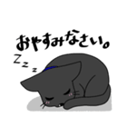 しろくろぺっと（個別スタンプ：8）